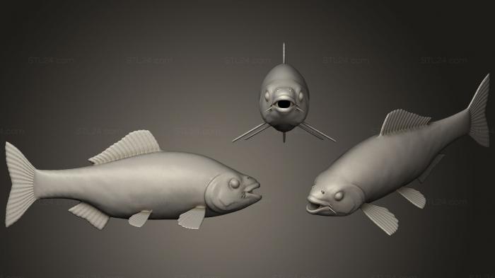 Статуэтки животных (Стилизованная рыба Кои, STKJ_1511) 3D модель для ЧПУ станка